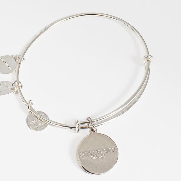 Alex and Ani 'Joyful Merry and Blessed Christmas' Charm Bangle Bracelet with Box - Picture 4 of 5